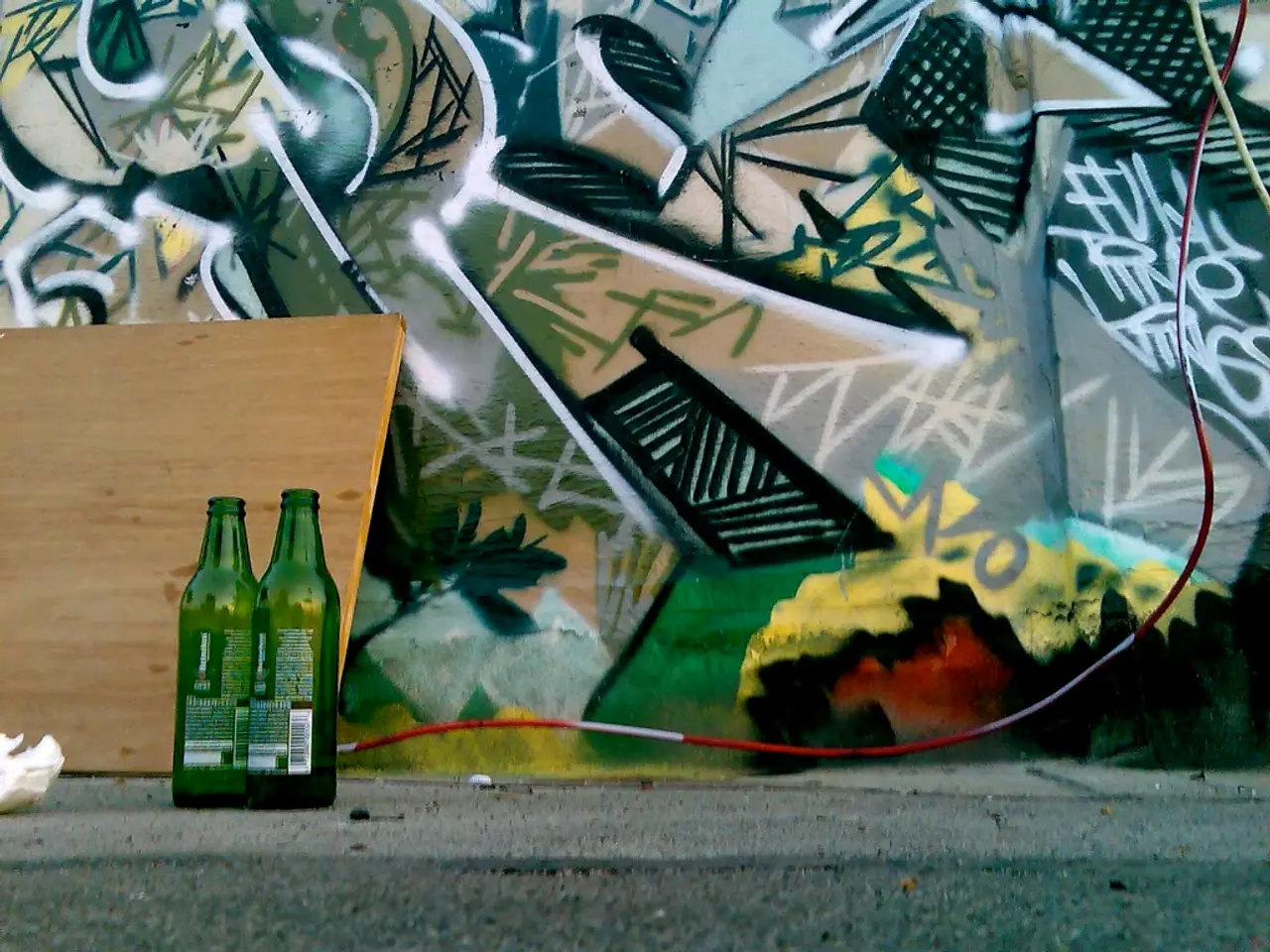 Bicycle Wine Touring in Mendoza