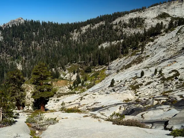 Discover four undersung national parks in the United States that truly merit your attention,...