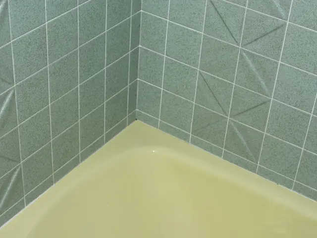 Wet Floor Fad Gaining Popularity: Even Kendall Jenner is a Fan