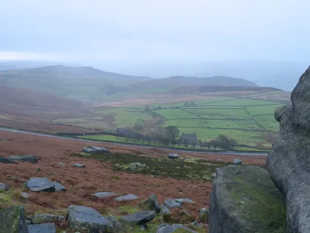 Scentsome Peaks: Description of the Fragrantly Solidified Landscape