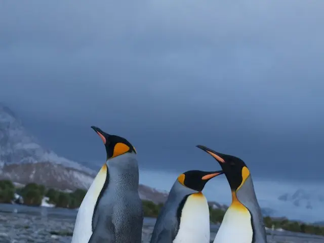 Family Fun in Lecce: Aquarium, Beach, and Family-Oriented Adventures at Santa Maria al Bagno