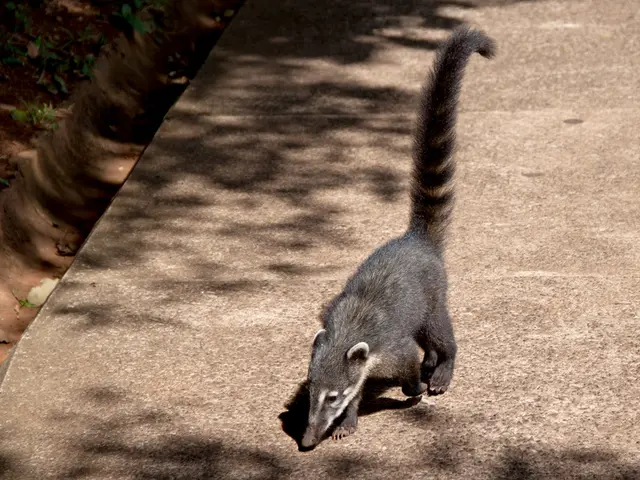 12 Interior Plants with Air-Purifying Properties to Enhance Your Mood