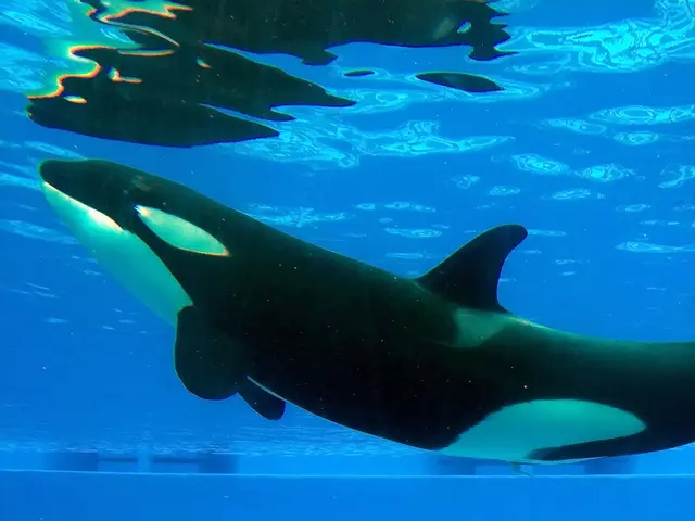 Skipping the UK's winter festivities this season