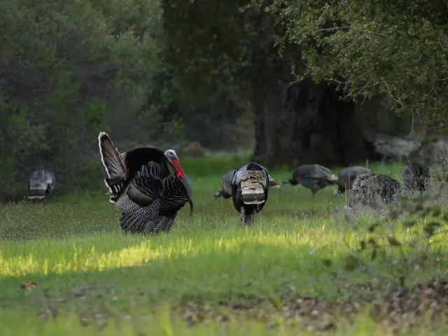 Turkey and Greece finalize a protocol aimed at bolstering tourism collaboration