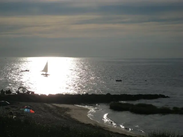 Exploring Beyond Landscapes: A Comprehensive Guide to the U.S.A.'s Coastal National Preserves