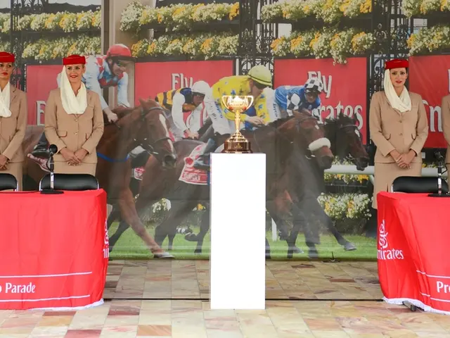 Top Carriers Offering Generous Business Class Discounts