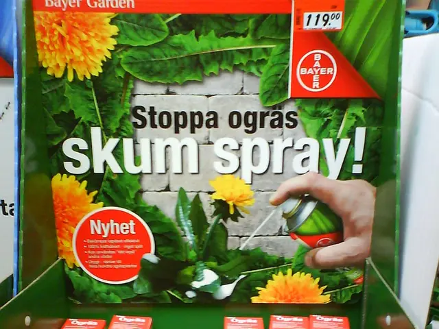 Enjoy the arctic bliss at these South Sound Spray Parks and Splash Pads during the sweltering...