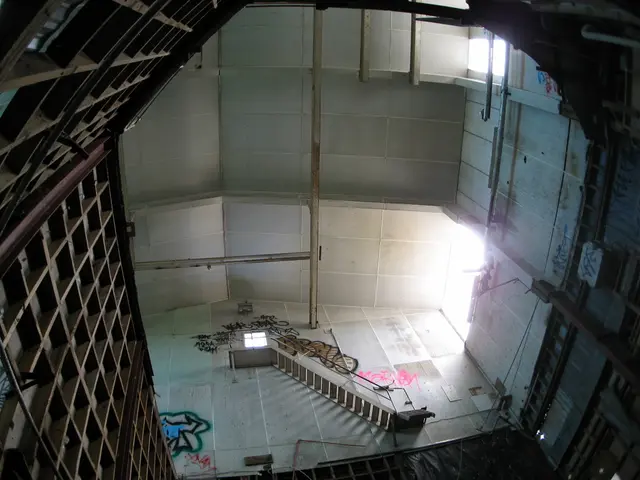 Blood Test for Ferritin: Role, Normal Ranges, and Management Strategies