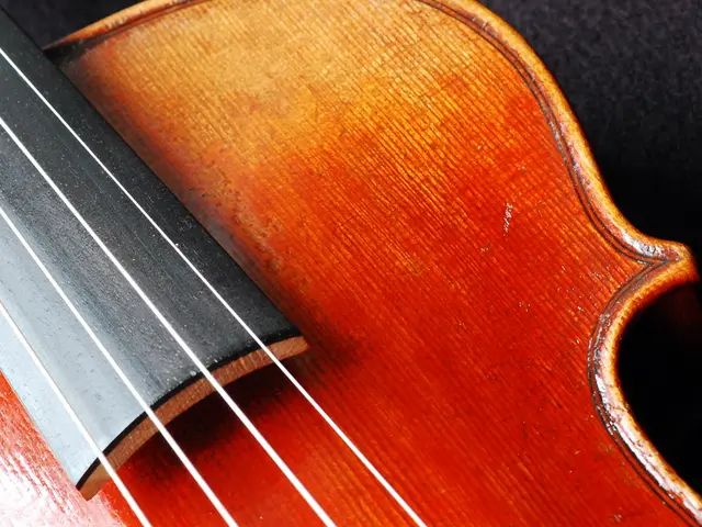 Updated LTD EC-1 ESP Traveler Guitar sports a classic Vintage Black finish