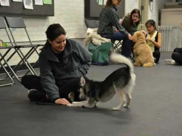 Tomicus Set for Flights on Two Animal Vessels