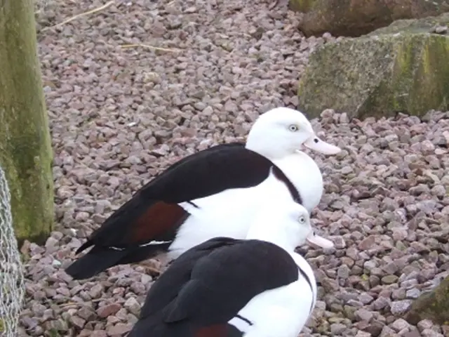 Exploring and Building Relationships Along the Finger Lakes Trailway