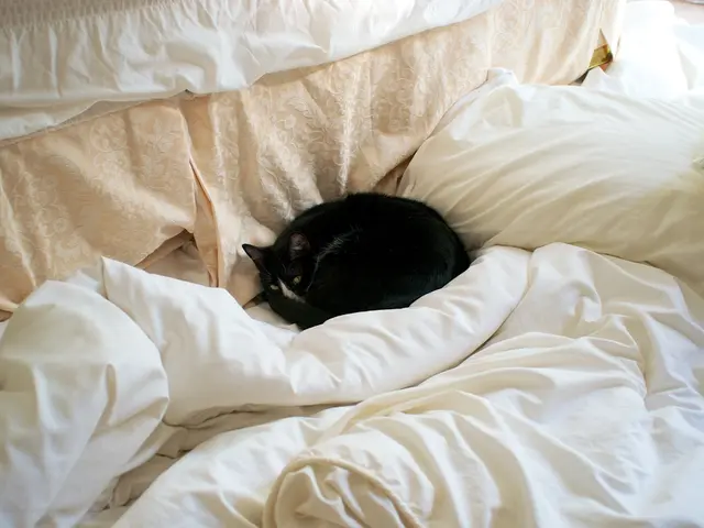 Information on the upcoming Killing Kittens swingers sex cruise, detailing its features,...