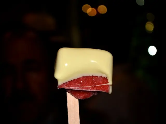 Guide for Maximizing a Single Day in Amsterdam