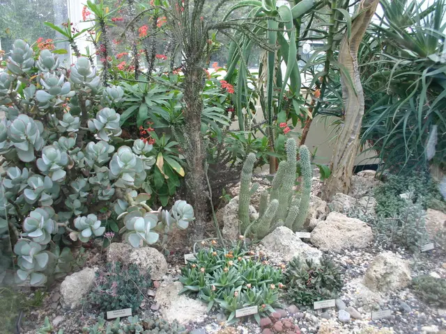 Tropical Enchantment: Crafting an Alluring Rainforest Miniature Ecosystem