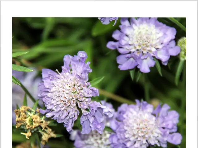 Explore the assortment of Pakistani baby names: their meanings and sources of inspiration