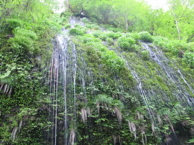 Landscapes of Tropical North Queensland, specifically showcasing structures known as Cairns.
