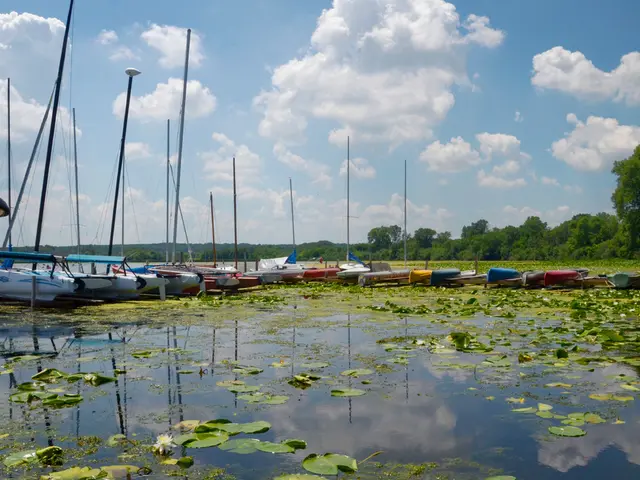 Discover the scenic monsoon-drenched waterways of Kerala
