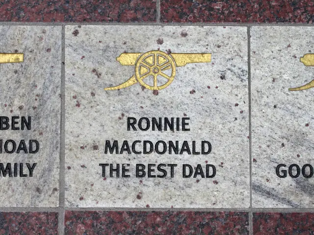 Services Open to All: A Comprehensive Offer for the General Public