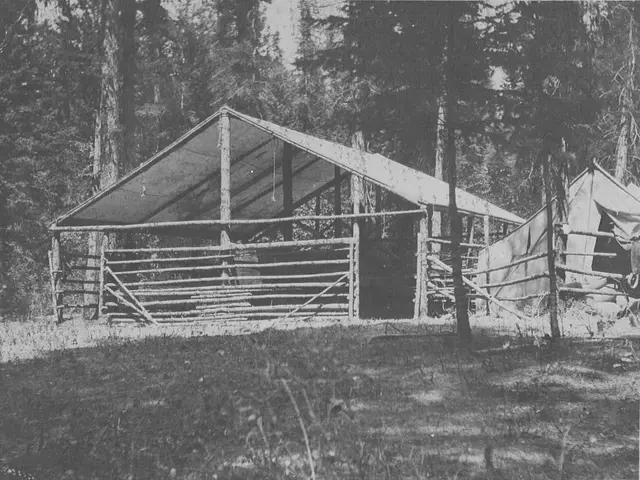 Twelve Notable American Ranches Accessible for Public Visits