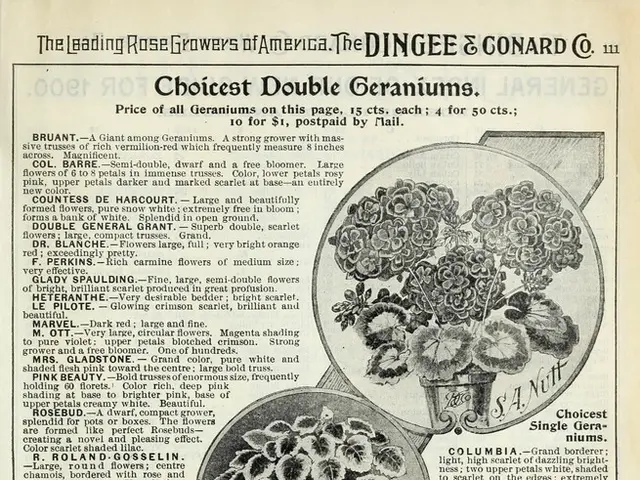 Renowned poet Olivier Marchand, a key figure in the Hexagon collective, has passed away.