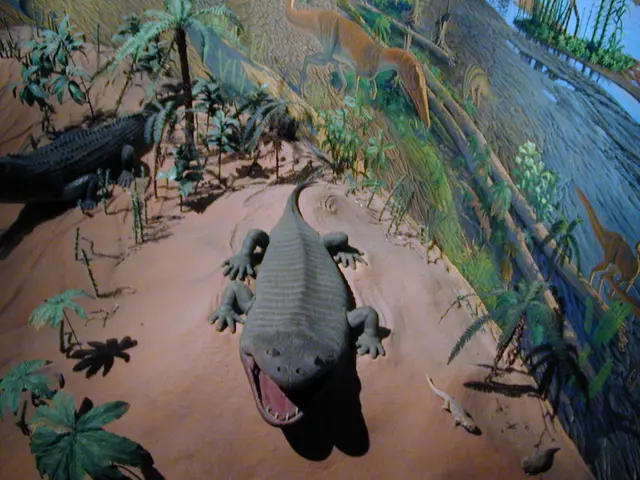 Thailand's captivating dreams lure Hollywood filmmakers