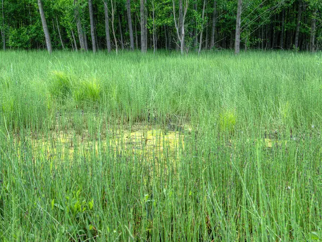 Monitoring Tools for Sustainable Agriculture Configuration