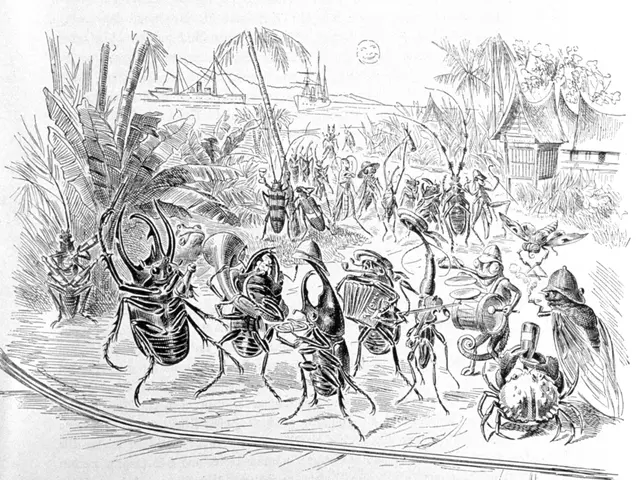 Guidance for five exciting activities happening during the initial weekend in August in Berlin