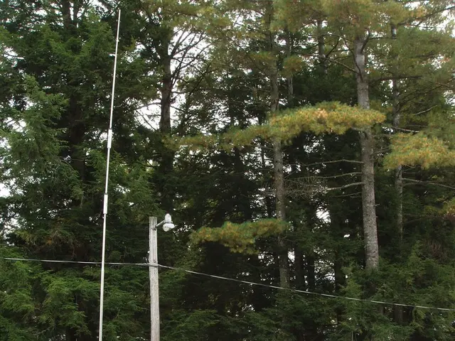 The Arrival of the Pilgrims