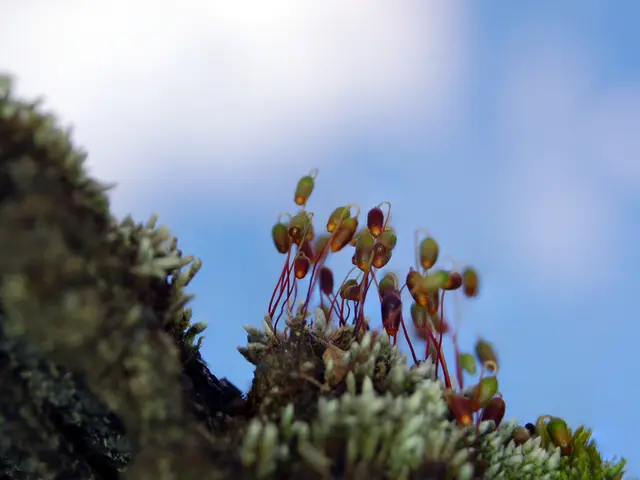 Beginner's Astrophotography Guide (21 Essential Tips for Kickstart)