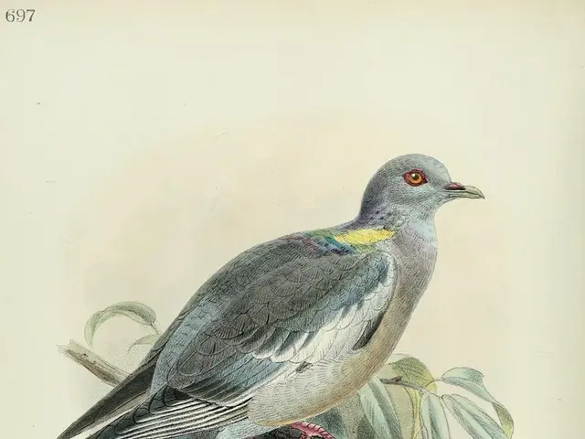 City of Neustadt bestows honor upon Arne Rautenberg