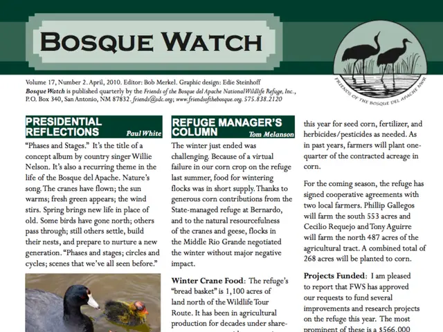 Helsinki discusses annoying issue: geese defecate on city beaches