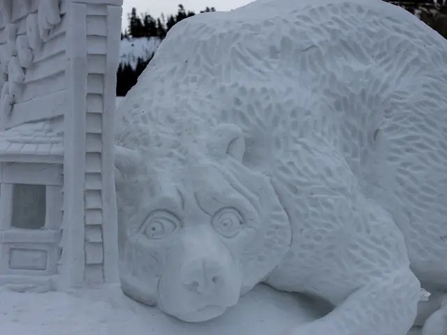 Art festival in Aspen attracts bigger art fairs and serious collectors, creating a dynamic and...