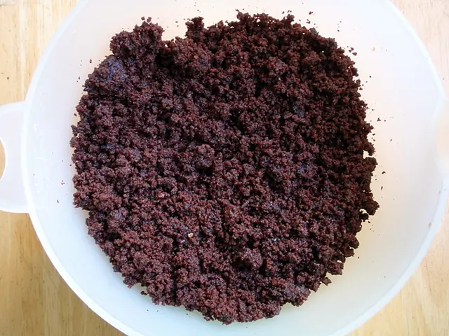 Elderly Ulcerative Colitis: Treatment Options, Potential Complications, and Further Information