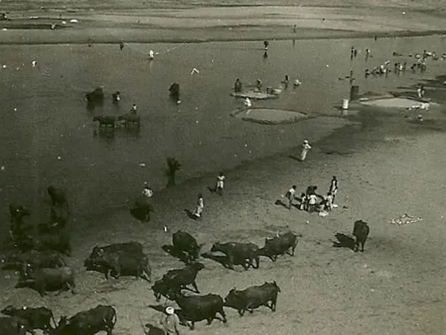 Various Humorous Methods from Around the Globe for Measuring Time in Seconds, Excluding the Use of...