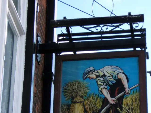 Operating Mechanism of Lifetime ISA: Significant Guidelines for LISA