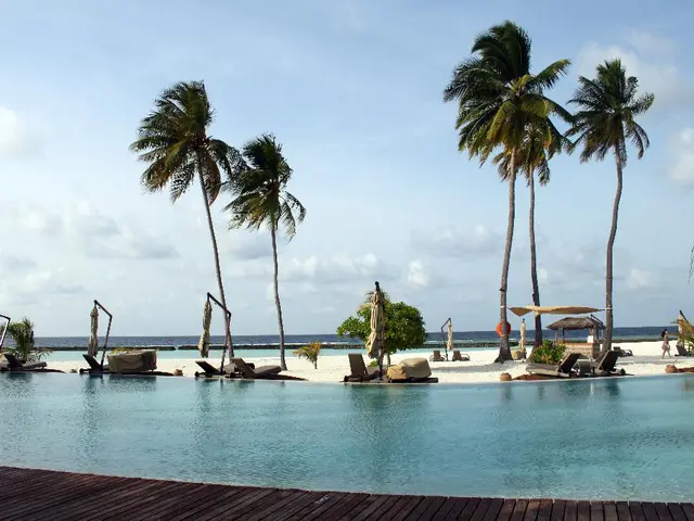 Hidden Florida Gem: A Breathtaking Beach Sanctuary teeming with Wildlife