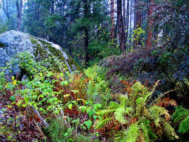 Weekend Highlights: Music Events, Dance Performances, and Cultural Choices