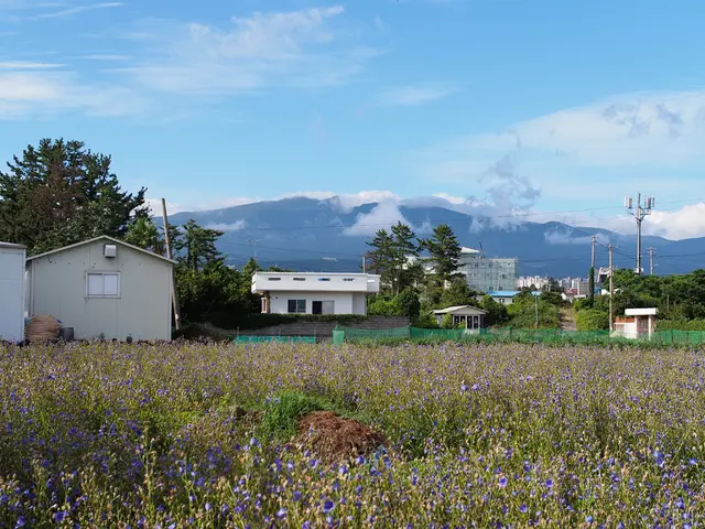 Determination propels Swiss solar-powered aircraft in quest for higher altitudes