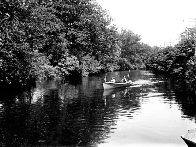 International Baltic Sea Gala: Prominent sailing event attracting participants globally