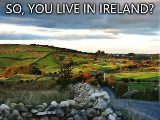 Recovery scam exposed: California calls for more than just Strong