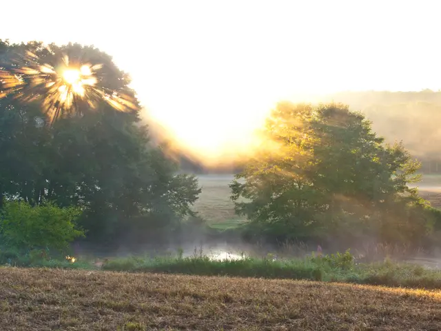 Exploring the Hidden Enchantments of Kutch during the Rainy Season: A Trek Through Landscapes and...