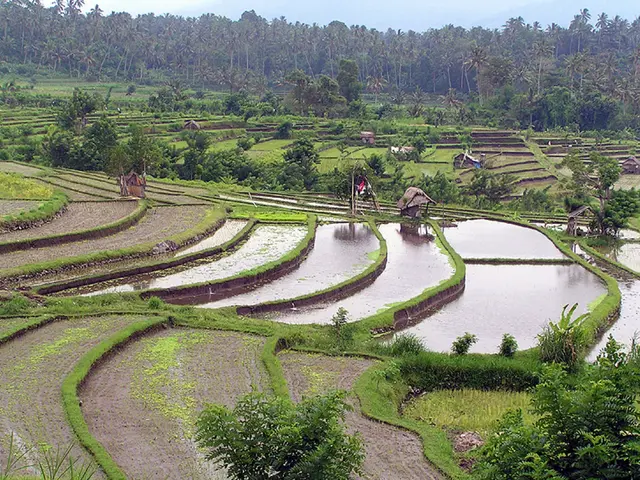 Unveiling Brad Ogbonna's Odyssey of Personal Enlightenment in Senegal