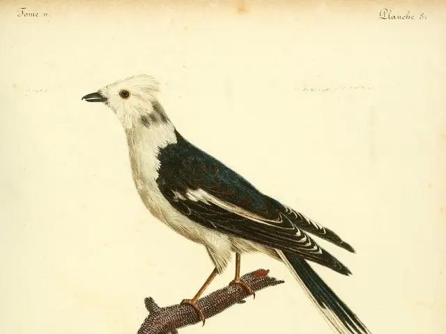 Unveiled are Age-Old Proverbs with Overlooked Closures