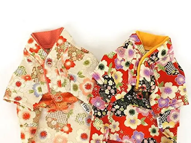 Seven popular summer dress styles to consider donning this season