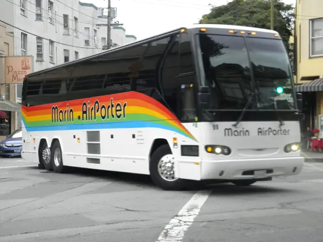 Bus service provider abruptly halts nearly all journeys by bus from Minsk to Vilnius