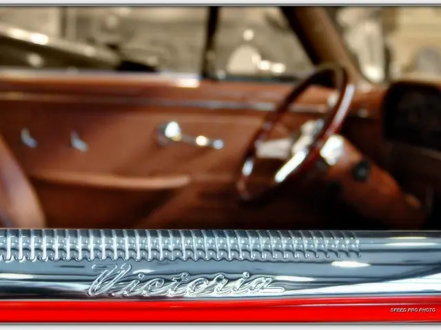 Journeyed Across All 48 States in 40 Days, Accumulating 14,000 Miles in a Hyundai Ioniq 6 and...