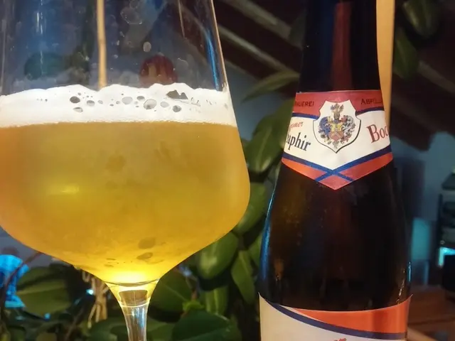 Exploring Wine Varieties amidst the rolling vineyards and picturesque Lake Garda Hills