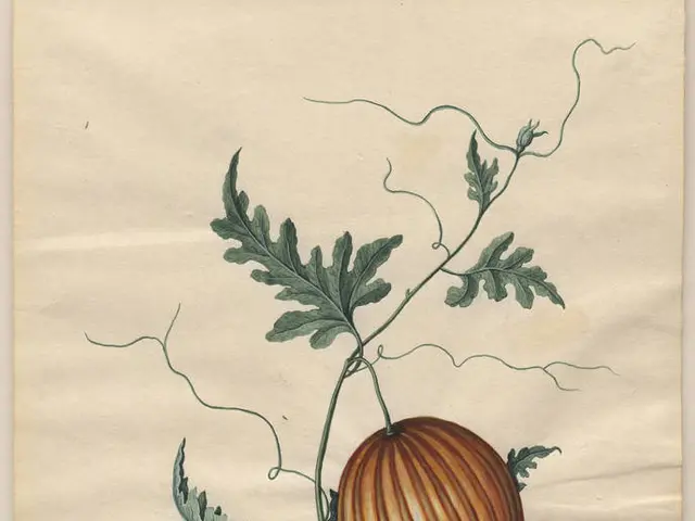 Seven Innovative Approaches to Crafting Art Inspired by Nature's Vibrant Hues, Stimulating Awe