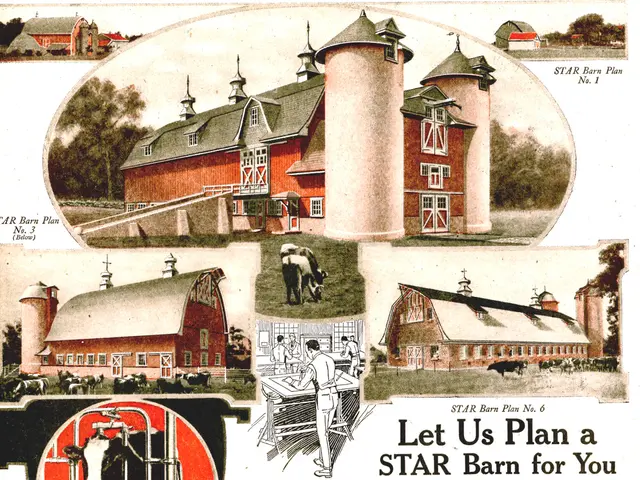 TikTok celeb recruited by animal rights group for their cause