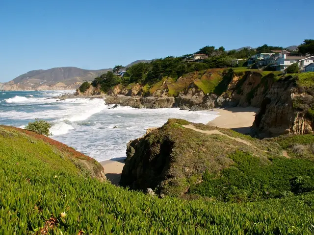 In this image on the left side there is a beach, and at the bottom there are some rocks and grass...